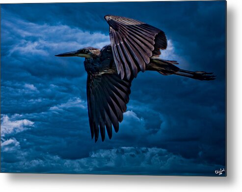 Gray Metal Print featuring the photograph The Stormbringer by Chris Lord