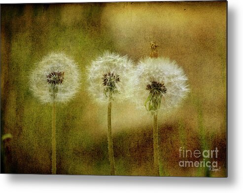 Flowers Metal Print featuring the digital art The Three by Rebecca Langen