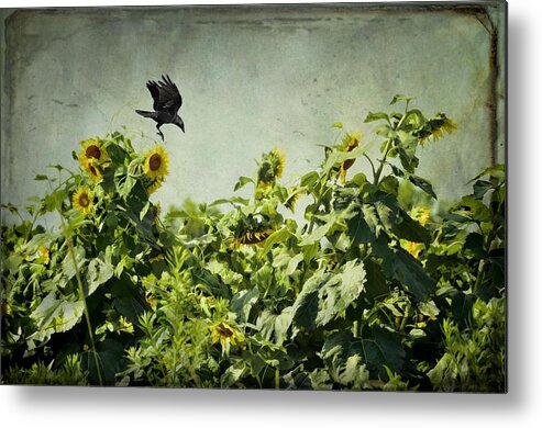 Birds Metal Print featuring the photograph The Visitor by Jan Amiss Photography
