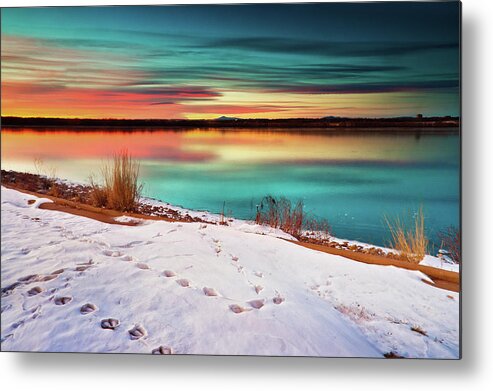 Cherry Creek State Park Metal Print featuring the photograph The Visitors by John De Bord