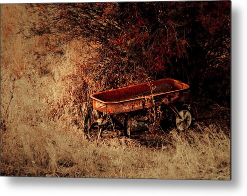 Wagon Metal Print featuring the photograph The Wagon by Troy Stapek