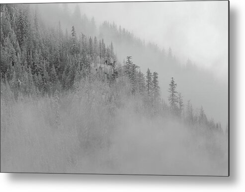 Landscape Metal Print featuring the photograph The Winter Dreamland BW 1 by Jonathan Nguyen