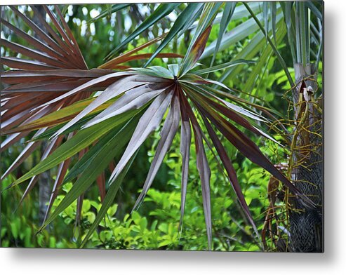Palm Metal Print featuring the photograph There in Your Mind by Michiale Schneider