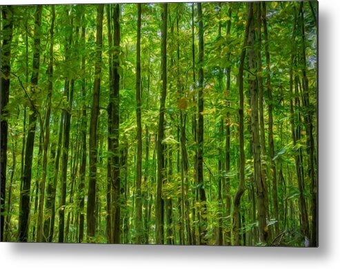 Trees Metal Print featuring the painting Thick Forrest by Anthony Seebaran