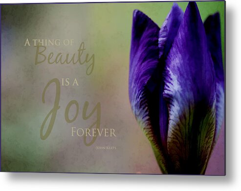 Inspirational Metal Print featuring the photograph Thing of Beauty by Bonnie Bruno