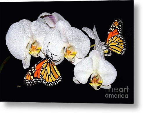  Metal Print featuring the photograph Thirsty Butterflies by Patrick Witz