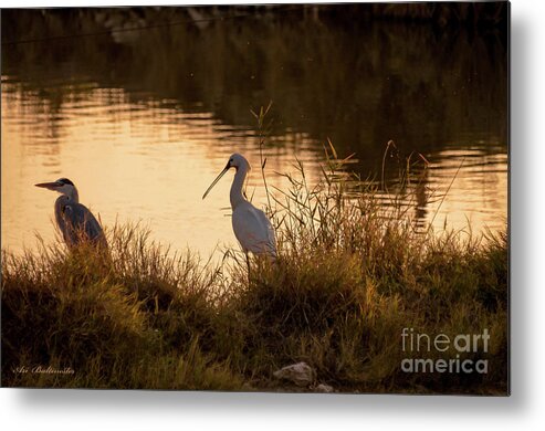 Spoonbill Metal Print featuring the photograph Thoughts on Sunset by Arik Baltinester