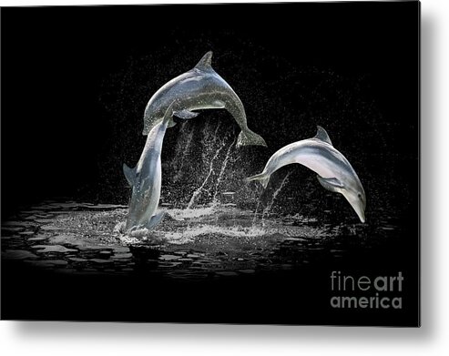 Dolphin Metal Print featuring the digital art Three Dolphin jumping by Benny Marty