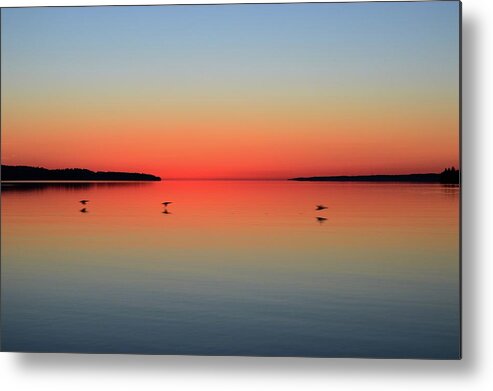 Abstract Metal Print featuring the photograph Three Ducks Flying By At Dawn by Lyle Crump