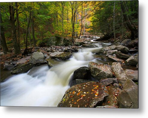 Fall Metal Print featuring the photograph Three Seconds in Fall by Neil Shapiro