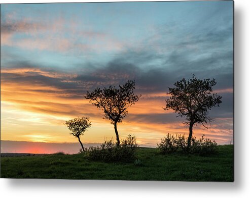 Sunset Metal Print featuring the photograph Three Trees On A Hill by Denise Bush