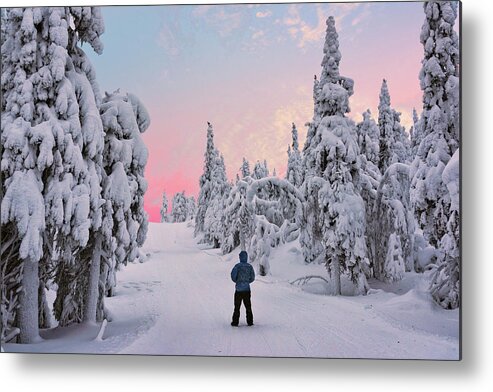 Sky Metal Print featuring the photograph Through a Snow Covered Forest by Roberta Kayne