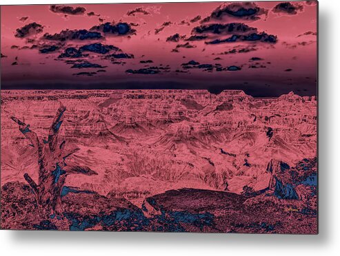 Landscape Metal Print featuring the photograph Through Other Eyes by John M Bailey