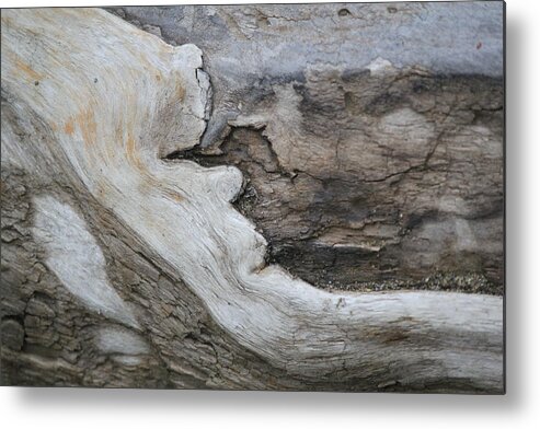 Tidal Metal Print featuring the photograph Tidal Wood - 1491 by Annekathrin Hansen