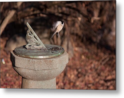 #jefffolger Metal Print featuring the photograph Time flies by Jeff Folger