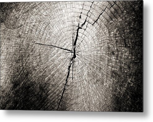 Tree Metal Print featuring the photograph Time Passage by Colleen Kammerer