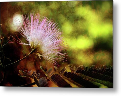 Mimosa Metal Print featuring the photograph Time Reaches Forever by Mike Eingle