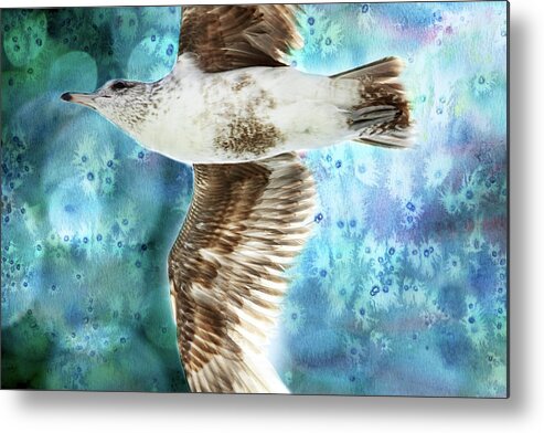 Seagull Metal Print featuring the photograph To the Beach by Peggy Collins