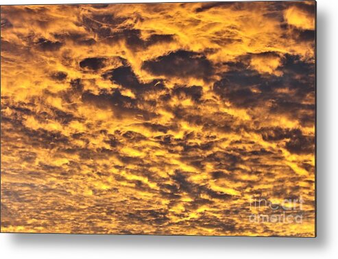 Arizona Sunsets Metal Print featuring the photograph Today I looked up by Barbara Leigh Art