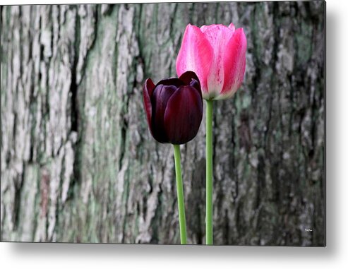 Flowers Metal Print featuring the photograph Together by Deborah Crew-Johnson