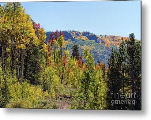 Autumn Colors Metal Print featuring the photograph Tongues of Fire by Jim Garrison