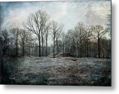 Winter Metal Print featuring the photograph Total Absence by Randi Grace Nilsberg