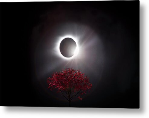 American Metal Print featuring the photograph Total Eclipse of the Sun in Art Diamond Ring and Tree by Debra and Dave Vanderlaan