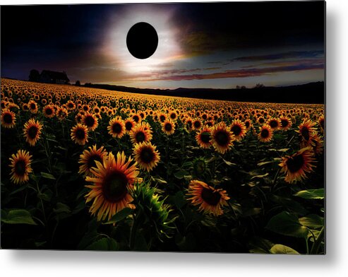 Appalachia Metal Print featuring the photograph Total Eclipse over the Sunflower Field by Debra and Dave Vanderlaan