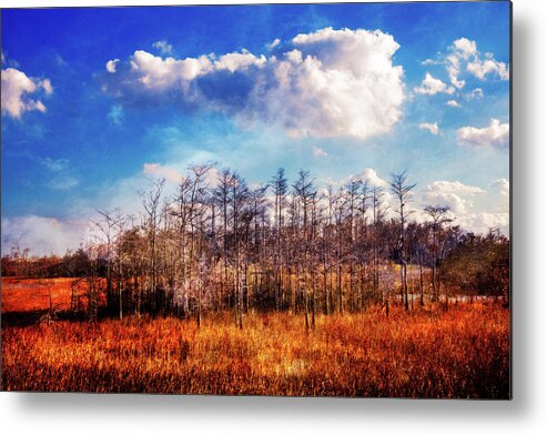 Clouds Metal Print featuring the photograph Touch of Autumn in the Glades by Debra and Dave Vanderlaan