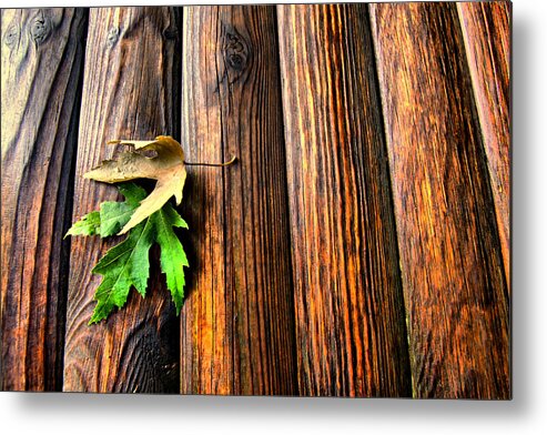 Leaf Metal Print featuring the photograph Touching by Russell Styles
