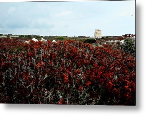  Metal Print featuring the photograph Tower in red landscape by Pedro Cardona Llambias