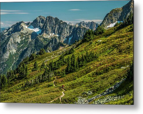 National Park Metal Print featuring the photograph Trail Roaming by Doug Scrima