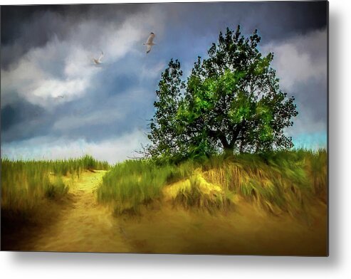 Art Metal Print featuring the photograph Trail through the dunes painterly version by Randall Nyhof