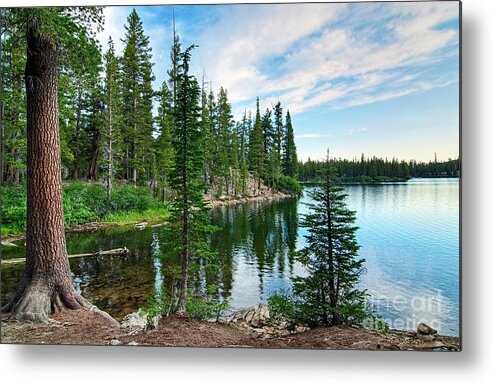 Tree Metal Print featuring the photograph Tranquility - Twin Lakes in Mammoth Lakes California by Jamie Pham