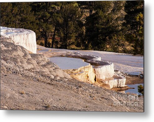 Mammoth Hot Springs Metal Print featuring the photograph Travertine Terrace Pools Two by Bob Phillips