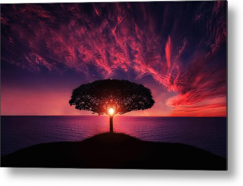 #light #rays #red #sea #sunset #tree #tree-in-sunset #print #fineart #sun #canvasprint Metal Print featuring the photograph Tree in sunset by Bess Hamiti