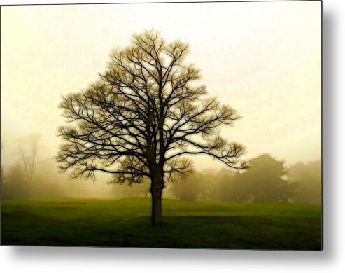 Tree Metal Print featuring the digital art Tree in the Fog by Lilia S