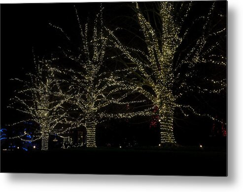 Christmas Tree Metal Print featuring the photograph Tree Lights by Louis Dallara