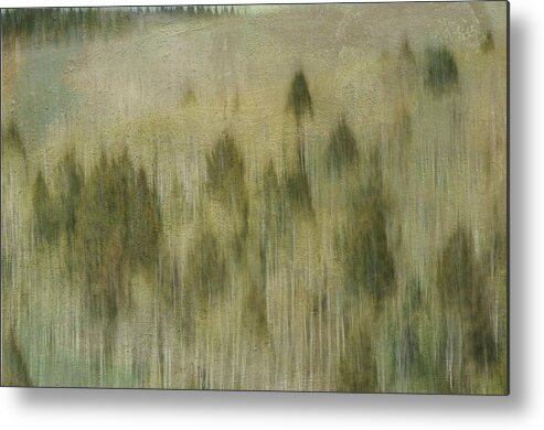 Trees Metal Print featuring the photograph Tree line by Carolyn D'Alessandro