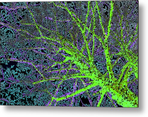 Abstract Metal Print featuring the painting Tree-mendous by Bruce Nutting