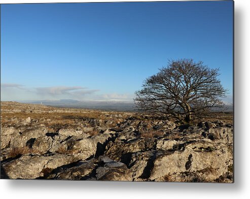 Sky Metal Print featuring the photograph Tree on the rocky desert by Lukasz Ryszka