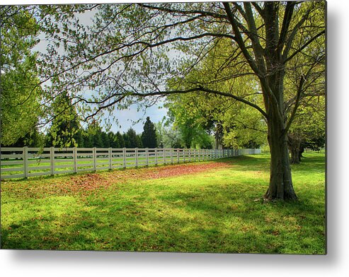 White Pickett Fence Metal Print featuring the photograph White Pickett Fence 98 by Carlos Diaz