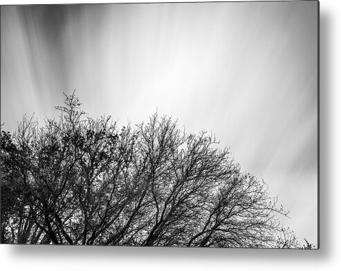 Long Exposure Metal Print featuring the photograph Tree top with Moving Clouds by Todd Aaron