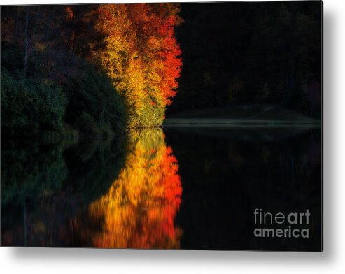 Fall Metal Print featuring the photograph Trees on fire by Dan Friend