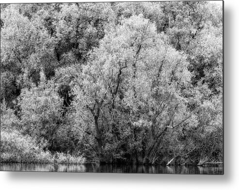 Adda Metal Print featuring the photograph Trees on the river by Roberto Pagani