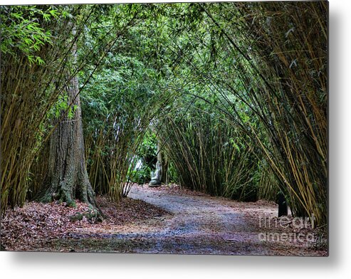 Landscape Metal Print featuring the photograph Trees Over Path Buddha Louisiana by Chuck Kuhn