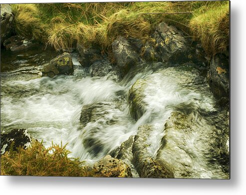Stream Metal Print featuring the photograph Trickle of Stream by Christopher Maxum