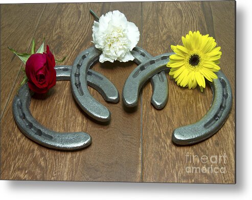 Triple Crown Metal Print featuring the photograph Triple Crown Flowers on Horseshoes by Karen Foley