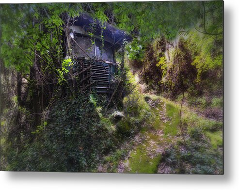 Filobus Metal Print featuring the photograph Trolley Bus Into The Jungle by Enrico Pelos