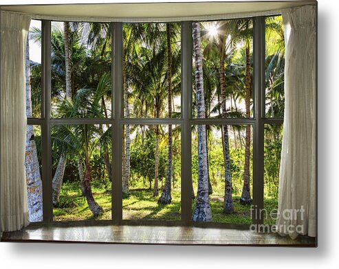 Window Views Metal Print featuring the photograph Tropical Jungle Reflections Bay Window View by James BO Insogna